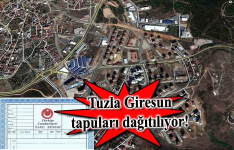 Tuzla Giresun Mevkii sakinlerine tapu müjdesi!