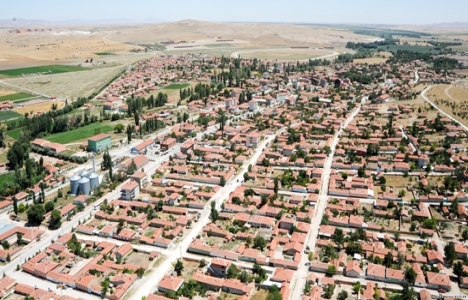 Mahmudiye jeotermal sera ihtisas bölgesi olmaya talip!