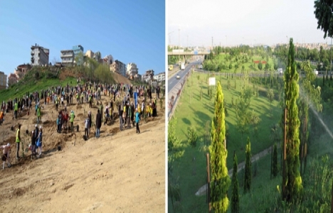 Kocaeli'ye 10 yılda 6 milyon 288 bin ağaç dikildi!