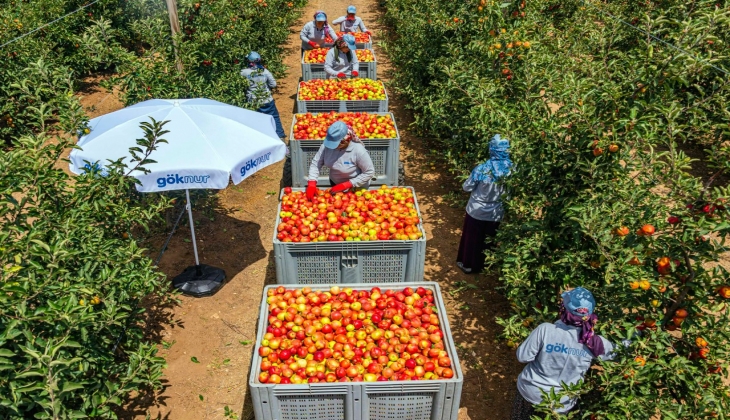 Göknur Gıda halka arz için geri sayımda! Halka arz fiyatı ne olacak? Ne zaman borsada işlem görmeye başlıyor?
