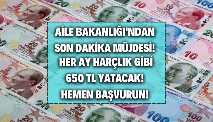 Aile Bakanlığı'ndan dar gelirliye nefes olacak müjde! Kimlik kartı ile başvurana 350-600 TL her ay harçlık gibi yatacak!