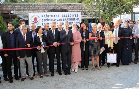 Kağıthane Belediyesi geçici hayvan bakımevini yeniledi!