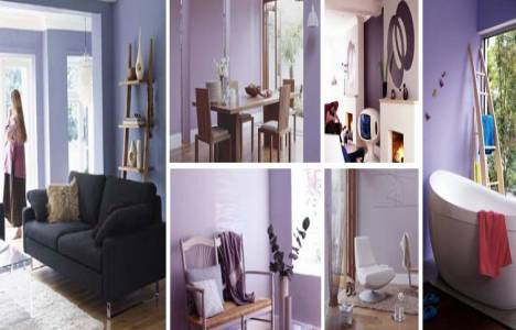 AkzoNobel Marshall violet serisini tanıttı!