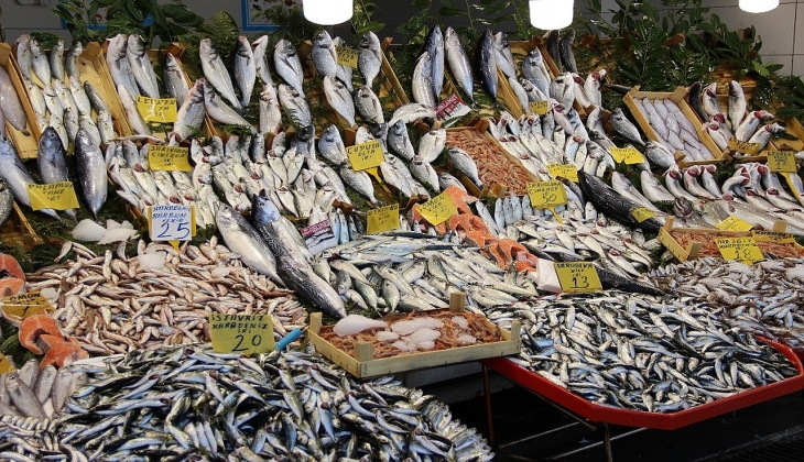 Ekim ayında herkes balık yiyecek! Balık fiyatları ile ilgili flaş gelişme!