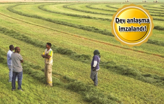 Sudan’da 780 bin 500 hektarlık arazi Türk yatırımcıya açıldı!