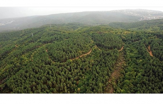 Ormanlık alanlarda yapılaşmaya esas inşaat hakkı tahsis bitimine kadar kullanılacak!