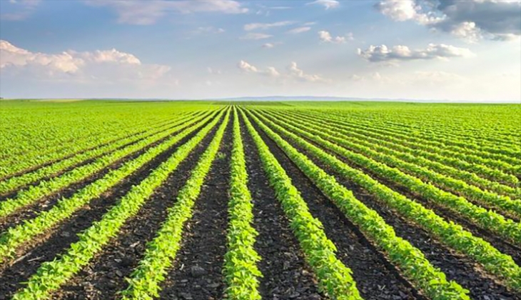 New Holland, MasterDrive uydu destekli otomatik dümenleme çiftçinin yeni gözdesi! İşte 12 Eylül 2022 fiyat listesi