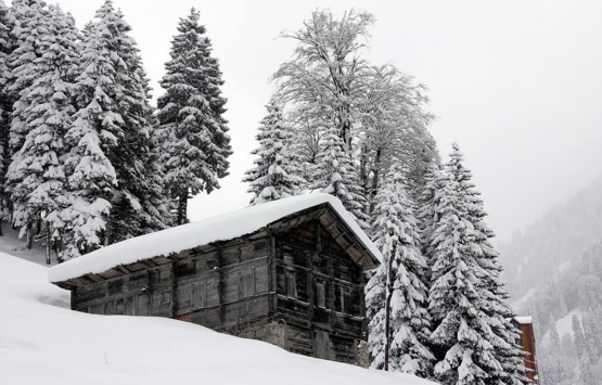 Rize de tarihi konak paylaşılamıyor! 120 varisi var!