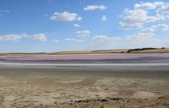 Konya Karapınar Milli Emlak tan satılık 19 gayrimenkul!