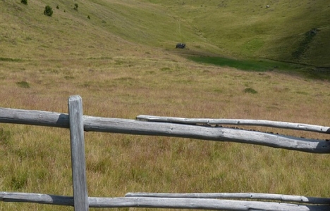 Mera tahsisli alana bina yapabilecek!