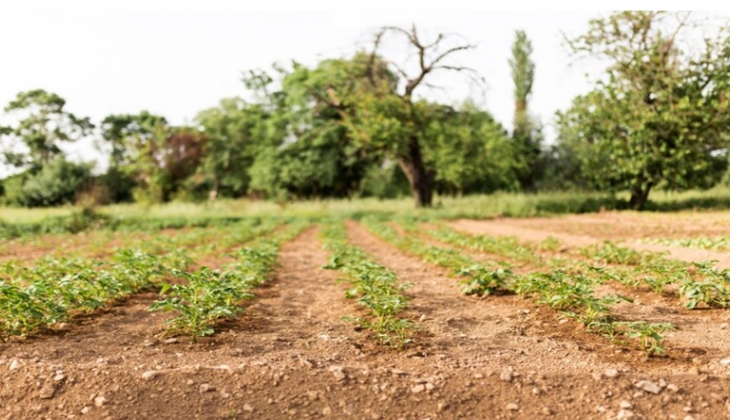Milli Emlak 12 bin TL’den başlayan fiyatlarla 94 adet arsa ve araziyi satıyor! 