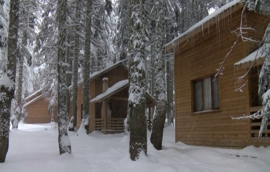 Uludağ daki orman köşklerine büyük ilgi!