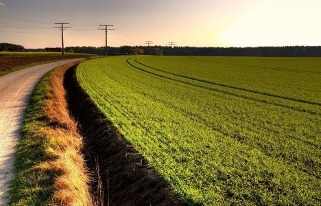 Karadeniz'de ovalar sit alanı değil!