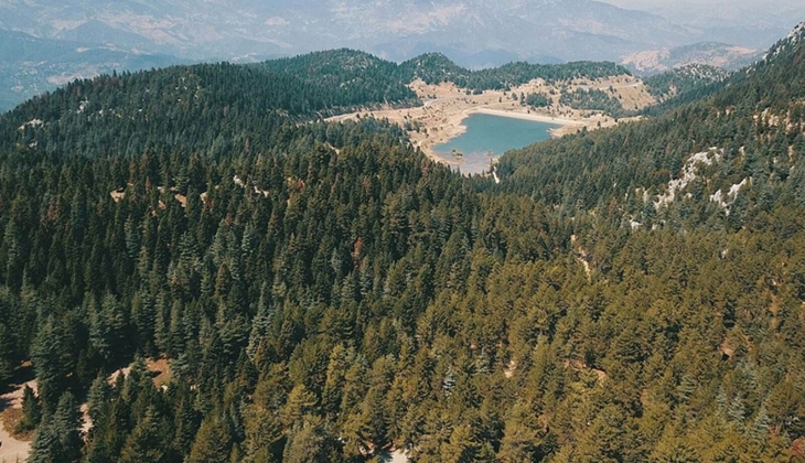 İki köy Şile ormanlarının içine taşınıyor! Halk, tapularını satarsa, arsayı alan villa yapıp 40-50 milyona satabilecek!