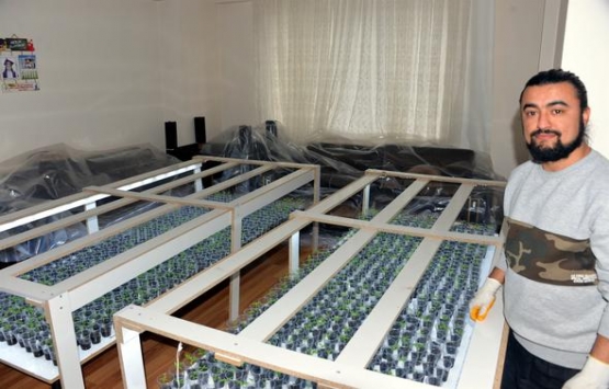 Evinin salonuna kendi serasını kurdu!