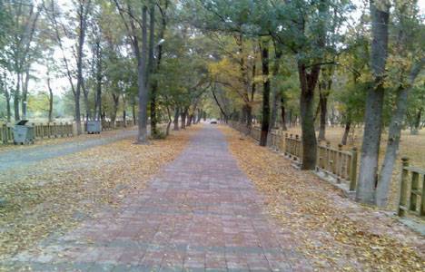 Yeniçağa Kuş Cenneti yaza hazırlanıyor!