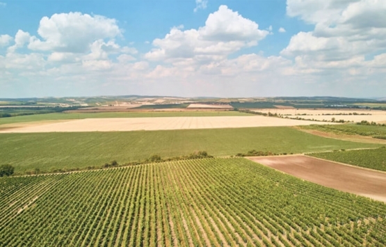 Milli Emlak’a ait arazileri sahte tapuyla satan ve kiralayan örgüt yakalandı!
