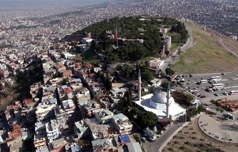Kadifekaleliler bahçe yaşamını özlüyor! 