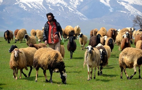 Bu şartları taşıyanlara faizsiz 150 bin TL kredi verilecek!