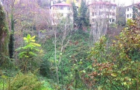 Yorum İnşaat Tarabya