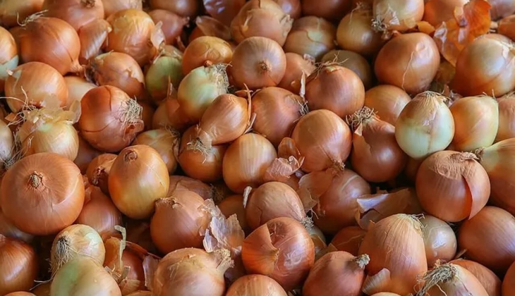 Soğan fiyatları dip yaptı! BİM, A101, Şok ve Migros ta soğan fiyatları ne kadar oldu? 6 Mayıs 2023 soğan fiyat listesi