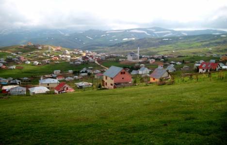 Ordu Çambaşı Yaylası'na tatil köyü yapılacak!