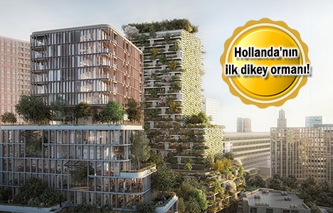 Dikey orman projesi Çin ve İstanbul'dan sonra Hollanda'da!