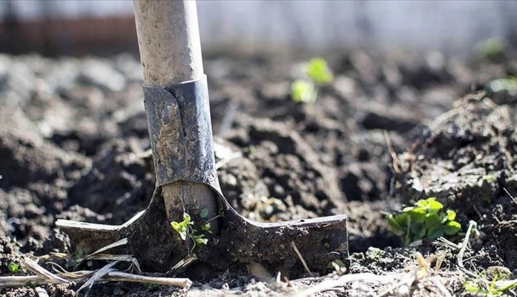 Gübre firmalarına para cezası talebi! Hangi firmalara ne kadar ceza kesilecek?