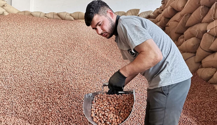 TMO 150 bin ton alım gerçekleştirdi!