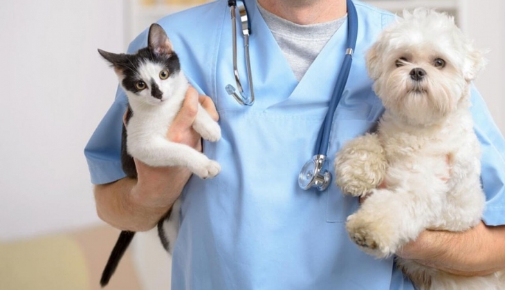 Artık sahipsiz değiller! 30,5 Milyon kaydedildi