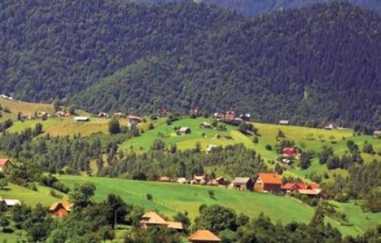 Adana Orman Müdürlüğü'nden 102.9 milyon TL'lik inşaat ihalesi!