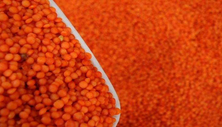 Çiftçiler bu haberi bekliyor! Son dakika mercimek fiyatları kaç lira? İşte 11 Mayıs 2022 fiyat listesi...