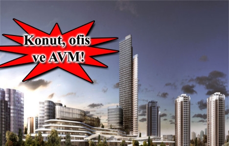 Kuzu Effect Eylül'de satışta!