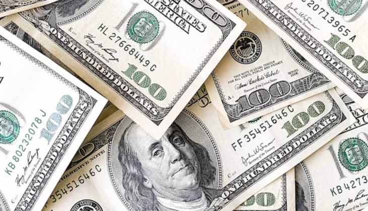 Elinde 1 doları bile olan yaşadı! Bu hafta dolar yatırımcılara kazanç sağladı!