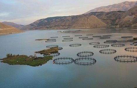 Adıyaman Yüzen Adalar'da çalışmalar tamamlandı!