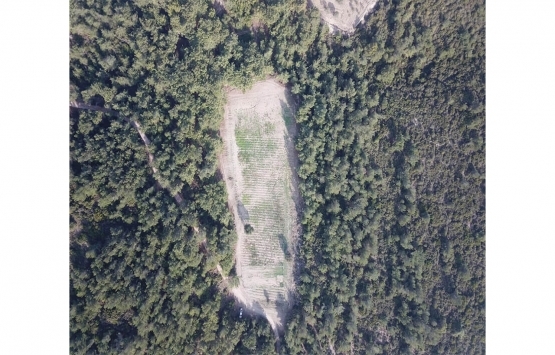 Hazine arazilerini kanuna aykırı şekilde satmaya çalışan 8 şüpheli yakalandı!