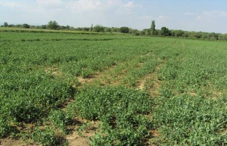 Kadastro yola cephe mevzuatı!