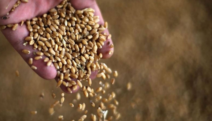 Buğday ve arpa fiyatlarında deprem! Çiftçiler dikkat: Arpa ve buğday fiyatı güncelleniyor mu?