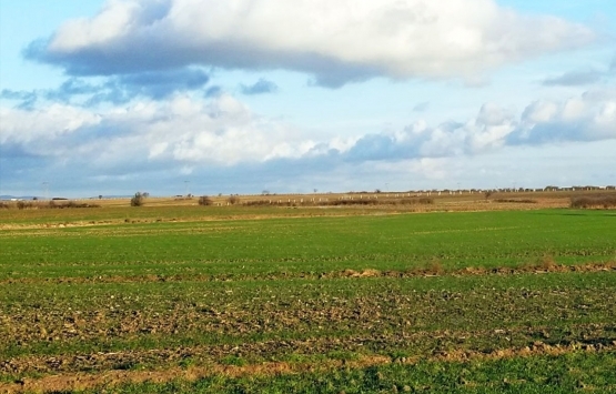 'Kelepir tarla' alırken dikkat!