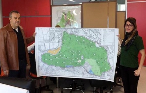 Manavgat Sorgun Ormanı'na imar planı!