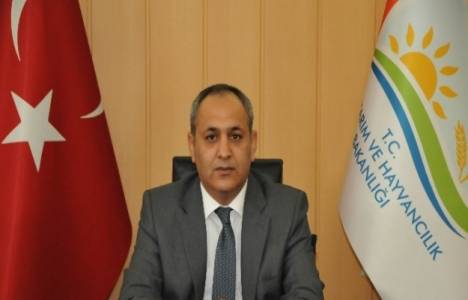 Eko Tatil Projesi Çıralı'da hayat buluyor!