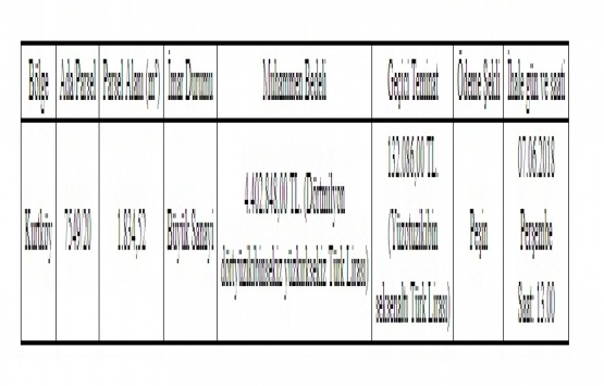 Pendik Belediyesi nden 4.4 milyon TL ye satılık gayrimenkul!