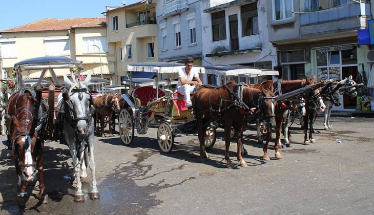 Adalar daki binaların yüzde 80 i sağlam değil!