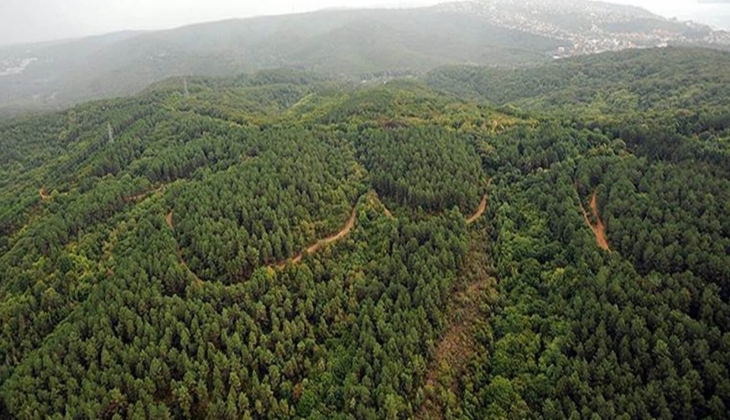 Orman arazileri, ‘orman parkı’ düzenlemesiyle yapılaşmaya açılıyor!