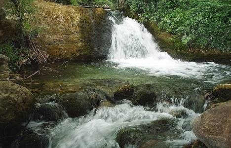 Aydın Bozdoğan'da 4 su kaynağı 3 yıl kiraya verilecek!