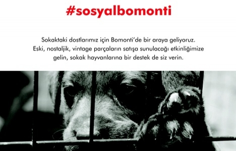 The House Residence Bomonti'den hayvan barınaklarına destek!