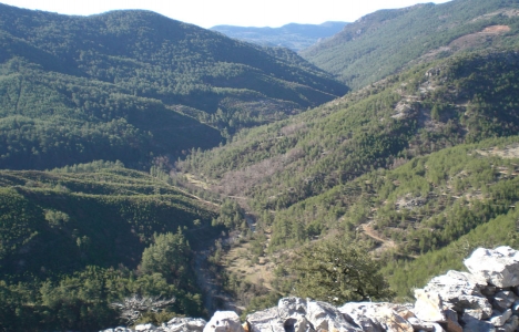 Antalya Çenger Çayı'nda iki HES kurulacak!