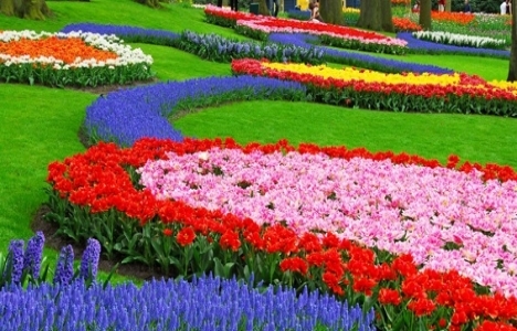 Müteahhitler ve peyzajcılardan süs bitkileri sektörüne destek!