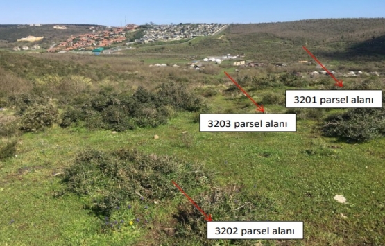 Galatasaray Riva projesinde inşaat başlıyor!