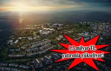 Siyahkalem Köy teslimleri